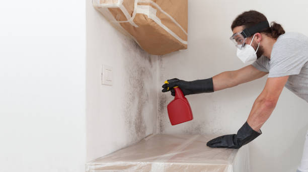 Professional Crawl Space Mold Removal technician working in Valley Stream, NY