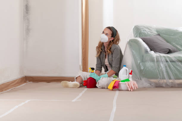 Reliable Crawl Space Mold Removal contractor in Valley Stream, NY by WQB Mold Removal